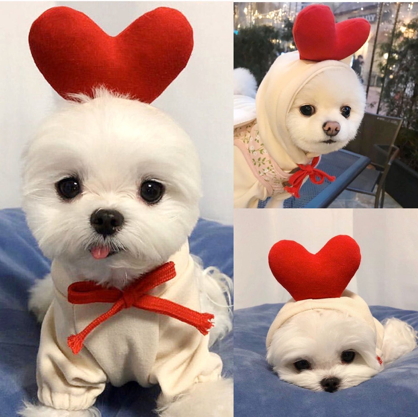 Cute Fruit Hoodie for Small Dogs – Warm Fleece Winter Outfit