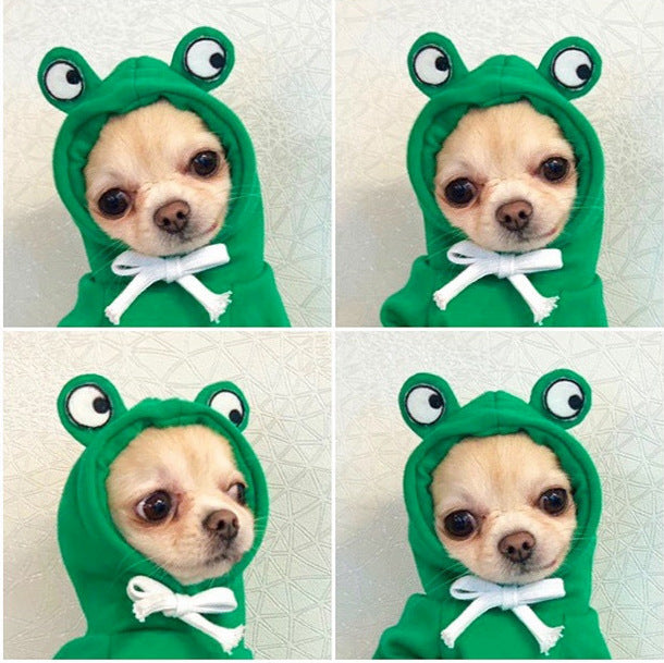 Cute Fruit Hoodie for Small Dogs – Warm Fleece Winter Outfit