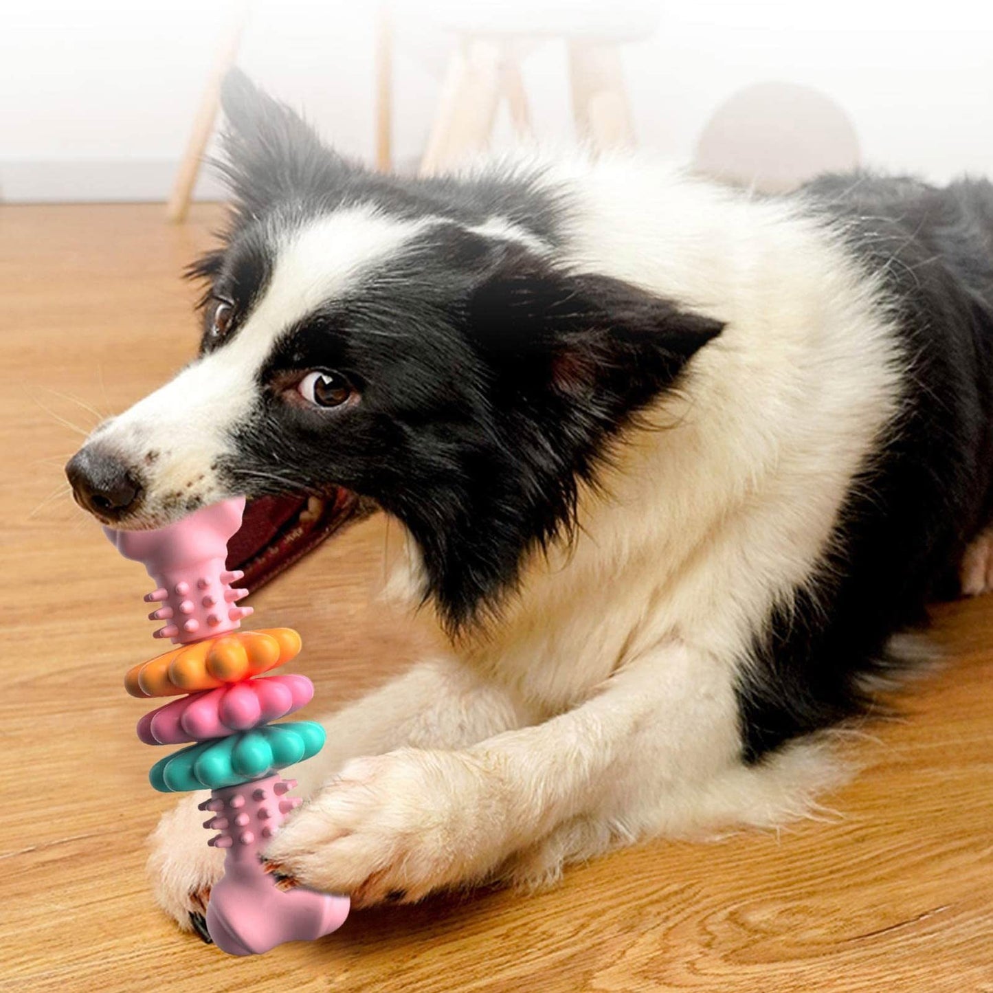 Tough Chew Bone Toy – Cleans Teeth & Fights Boredom