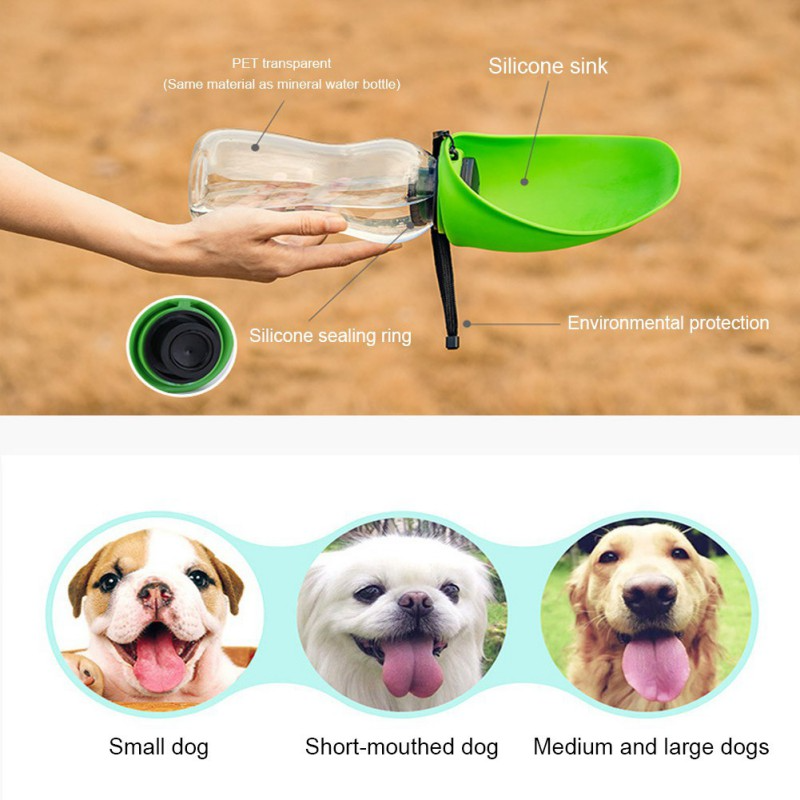 2-in-1 Portable Pet Water Bottle & Bowl