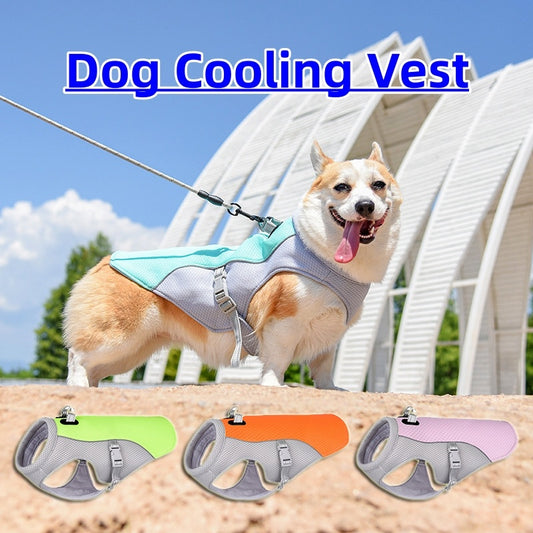 CoolWalk Dog Vest