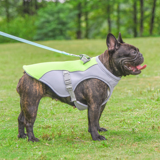CoolWalk Dog Vest